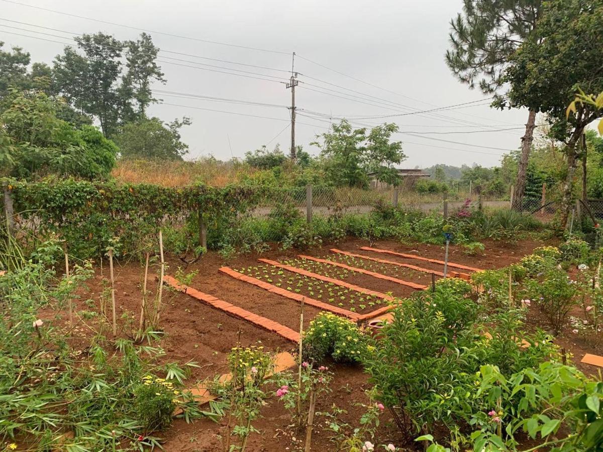 Phuong Nam Gia Trang Farmstay Gia Nghĩa Eksteriør billede